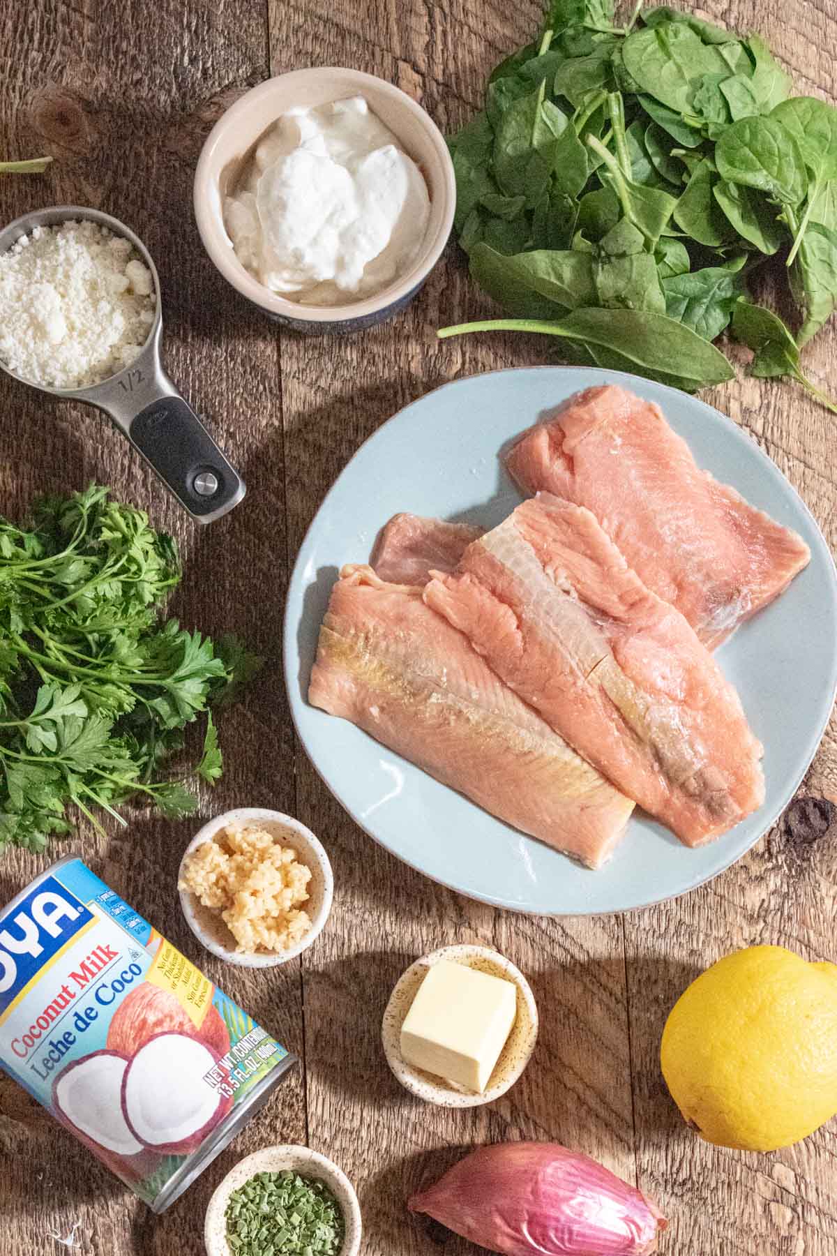 the ingredients you will need for creamy garlic salmon with white wine sauce and capers