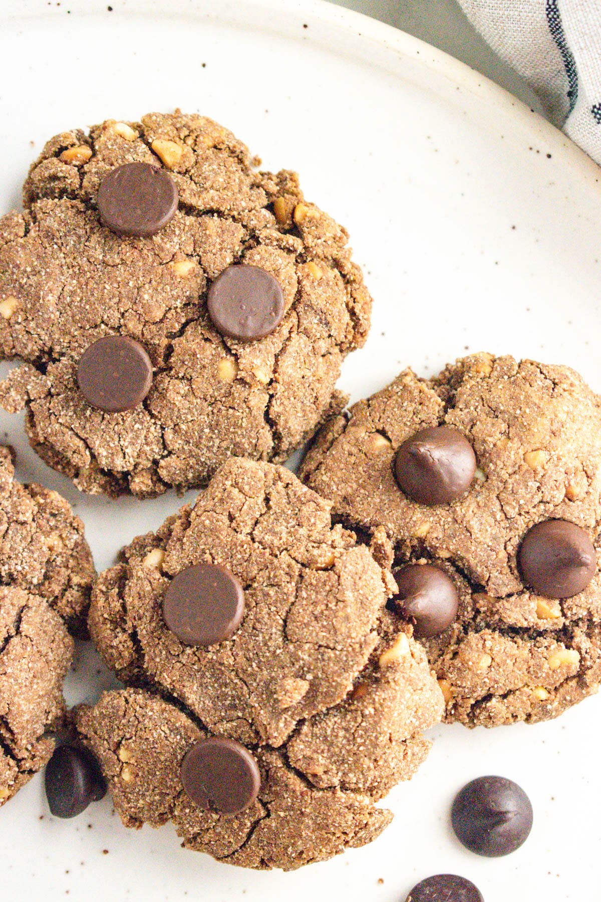 A close up of peanut butter chocolate chip cookies.