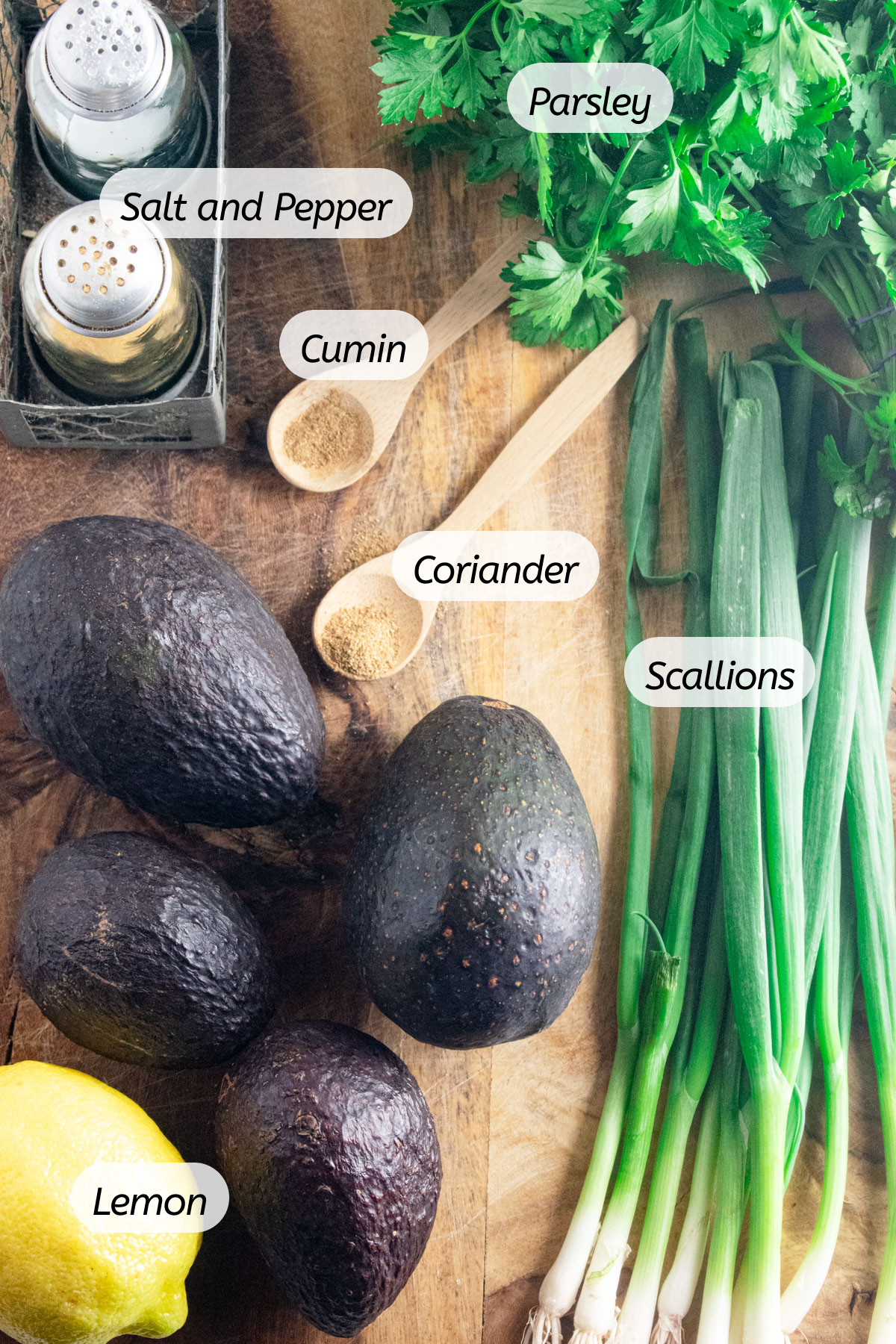 A photo of all the ingredients needed to make this recipe with labels included.
