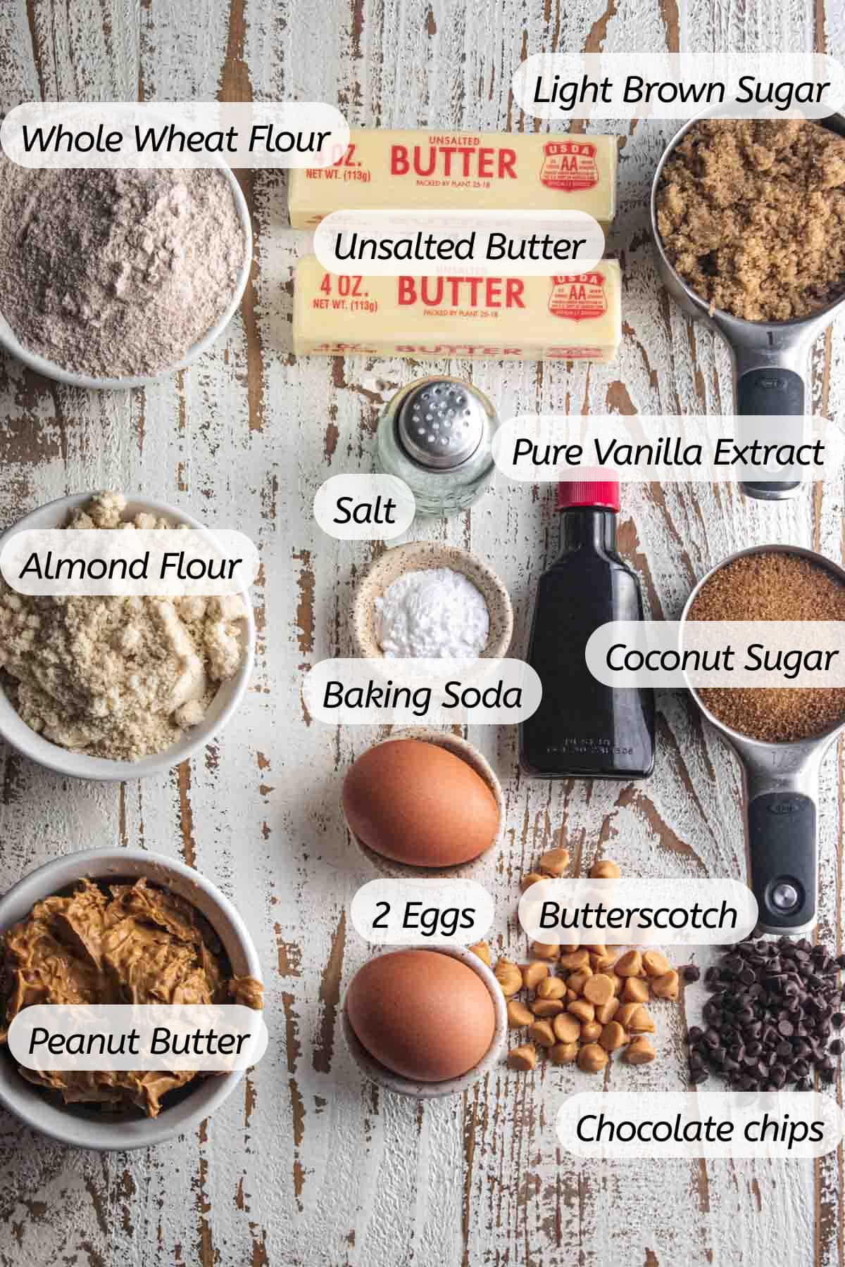 A birds-eye view of all the ingredients you will need to make this recipe with labels included.